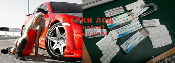 spice Балахна