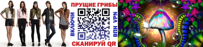 omg онион  Чкаловск  Псилоцибиновые грибы Psilocybe 