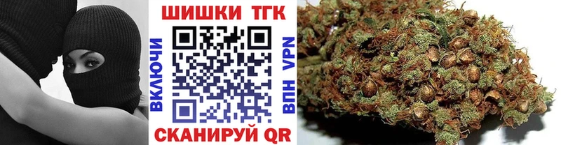 Шишки марихуана марихуана  Чкаловск 